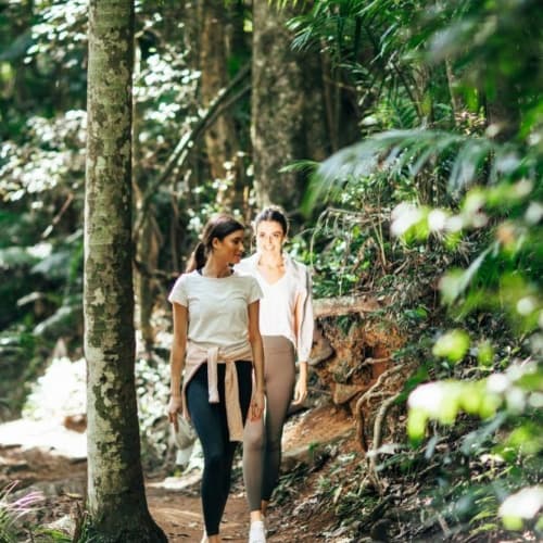 Explore the best bushwalks and hiking trails in the Gold Coast Hinterland