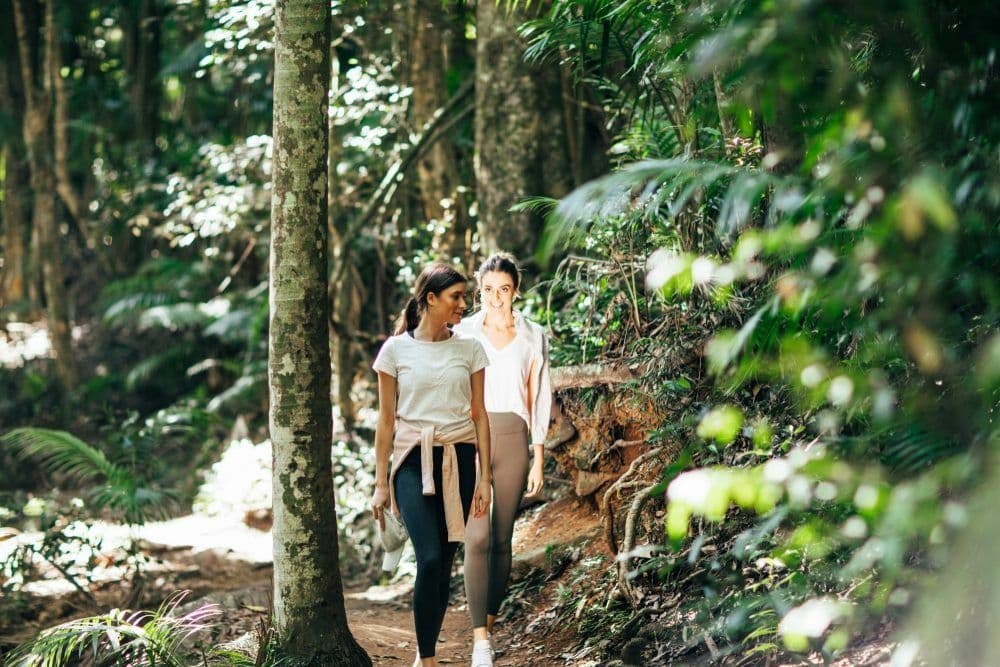 Explore the best bushwalks and hiking trails in the Gold Coast Hinterland